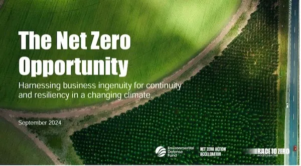 Cảbon in 2025: The Elemental Force Shaping Our Sustainable Future | A Complete Guide Cảbon in 2025: The Elemental Force Shaping Our Sustainable Future | A Complete Guide