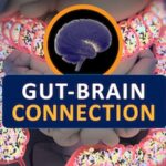 Unlocking the Gut-Brain Axis: A Comprehensive Guide to the Gut Microbiome Health Index (GMHIW) in 2025