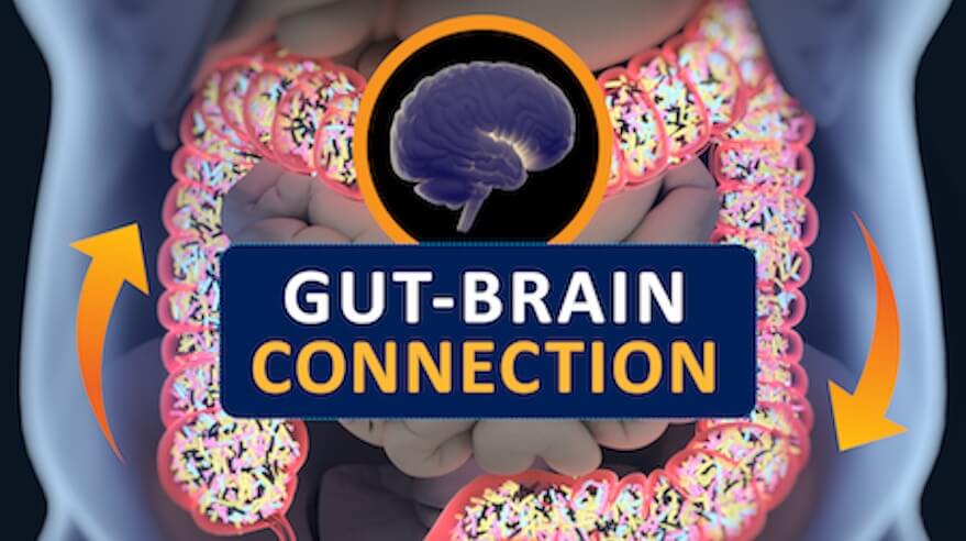 Unlocking the Gut-Brain Axis: A Comprehensive Guide to the Gut Microbiome Health Index (GMHIW) in 2025